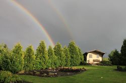 unser-Garten-im-Sommer